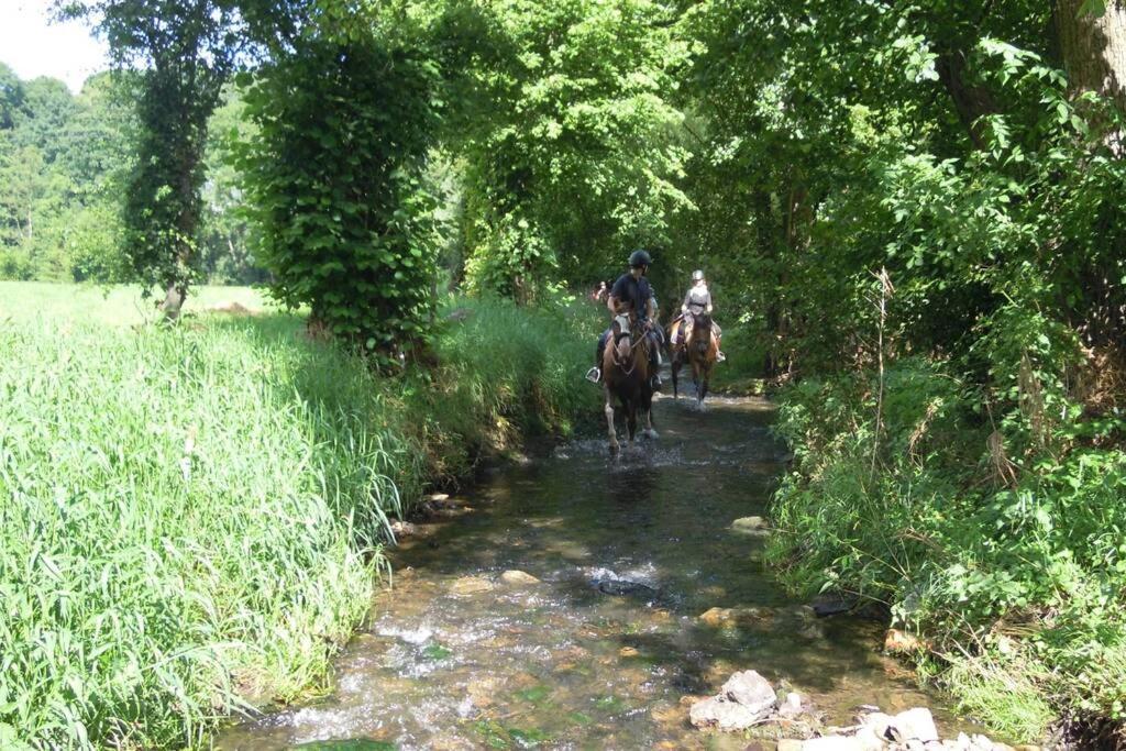 Hoeve Espewey Cottage Hombourg Εξωτερικό φωτογραφία